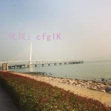 ֦Ҷï